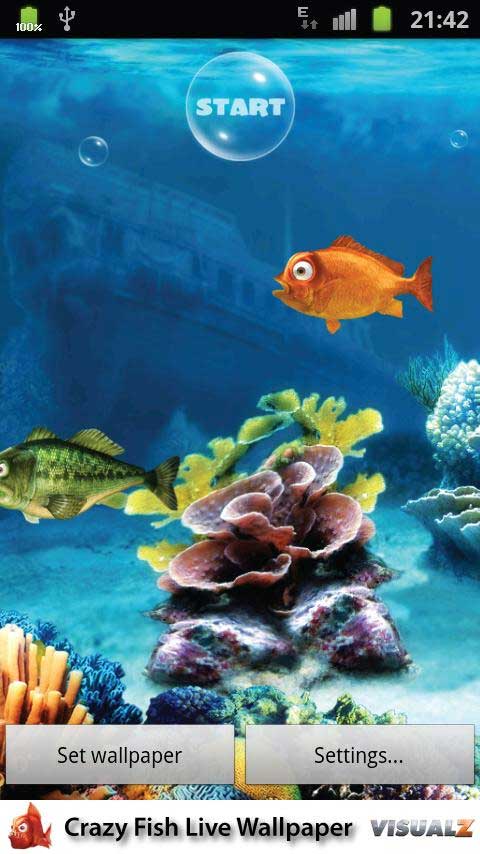 Crazy Fish Live Wallpaper 1.0 apk Android game Free Download Android