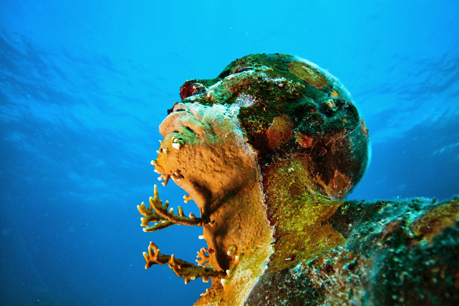 Где на дне океана. Jason DECAIRES Taylor. Подводный музей в Мексике. Марианская впадина 2022. Подводный музей Тарханкут Крым.
