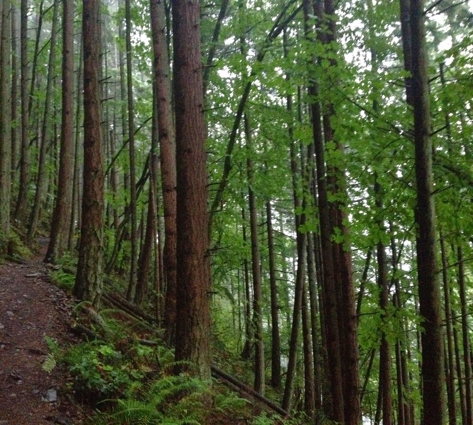 Get to Goal Hiking Oyster Dome