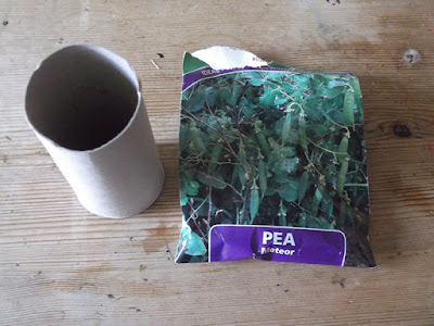 Allotment Tips - Sowing Peas - Cardboard Tubes