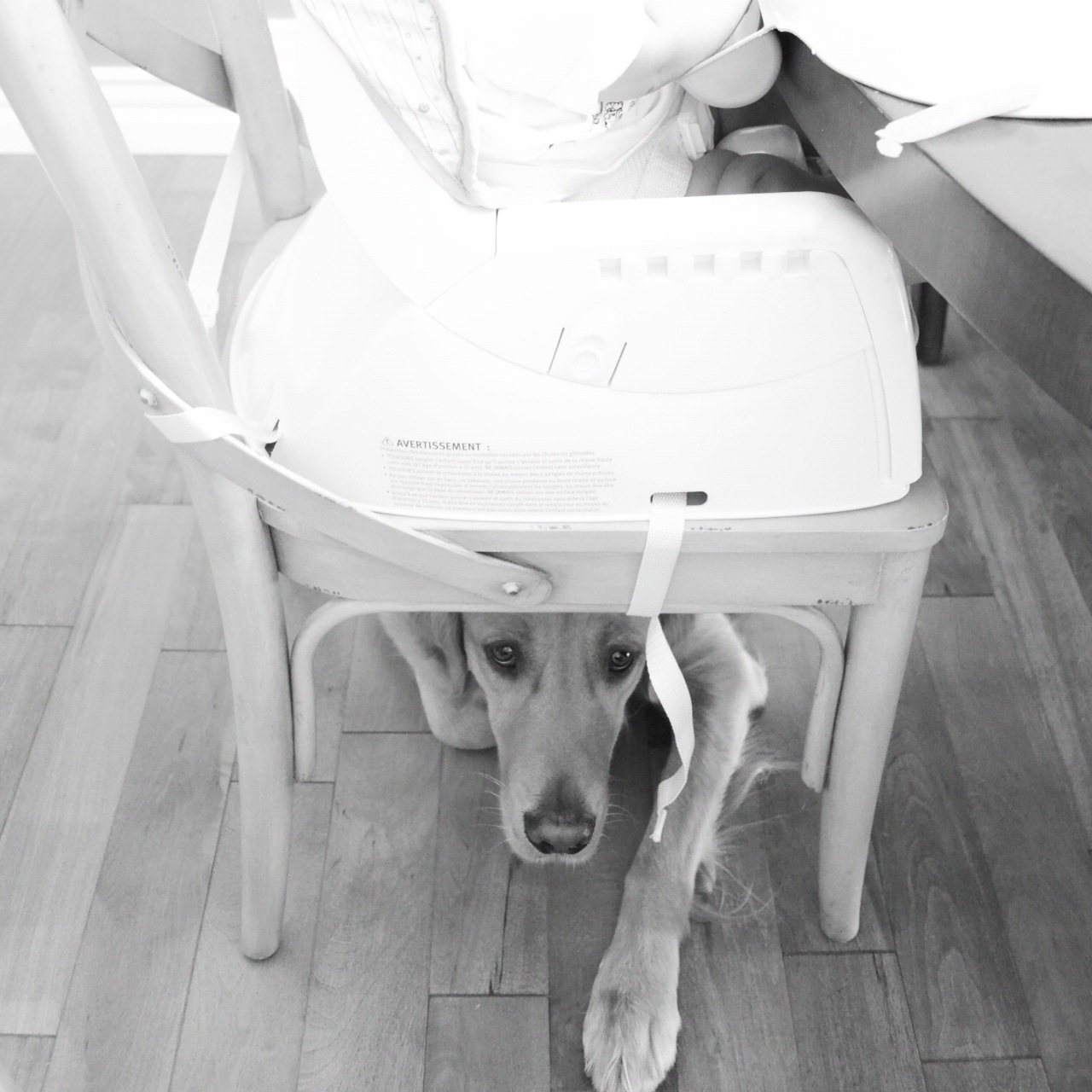 now-what-13-books-to-read-while-pregnant