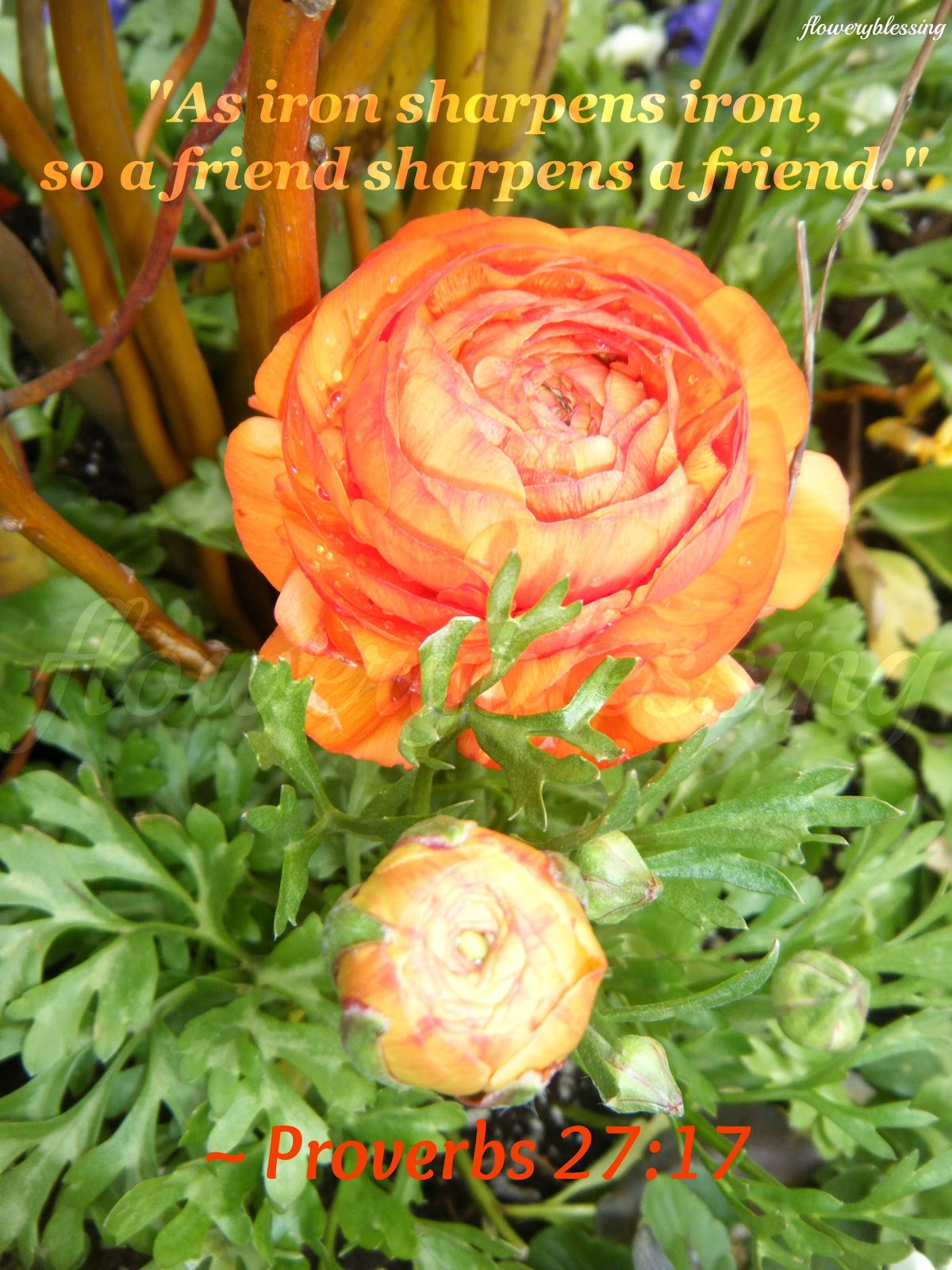 flowery-blessing-may-2013