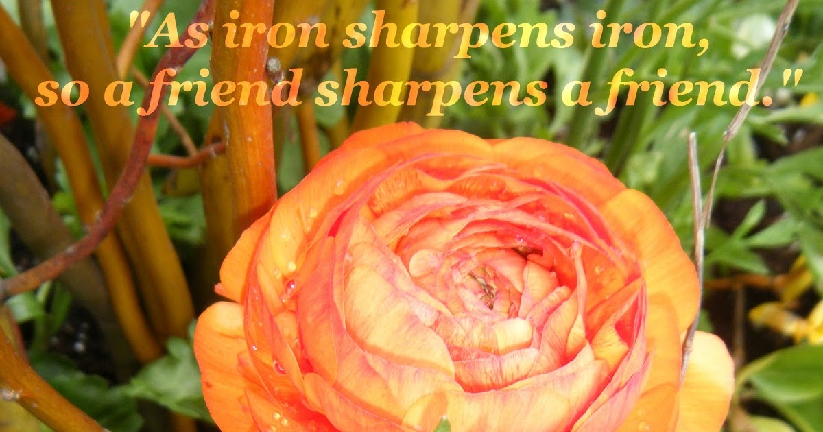 as-iron-sharpens-iron-so-a-friend-sharpens-a-friend-proverbs-27-17-nlt