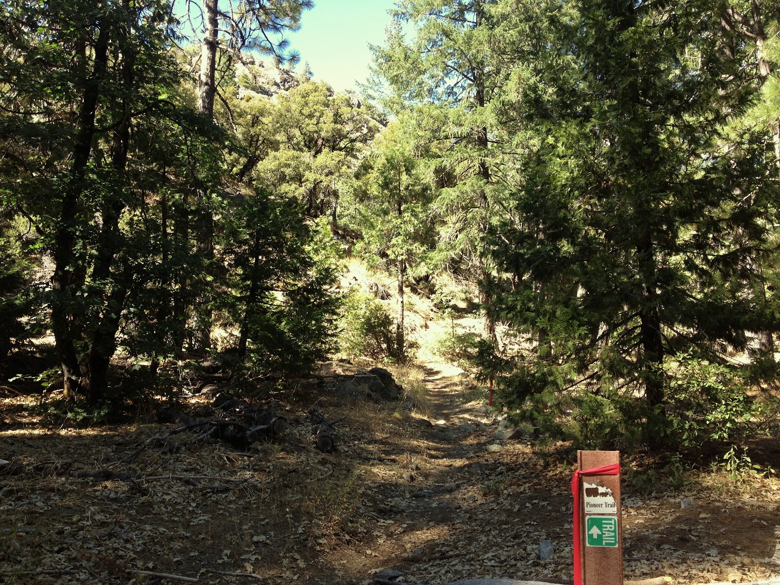 Peachy Hiker: Pioneer Trail ~ Spaulding Lake / Grouse Ridge Trails 10 ...