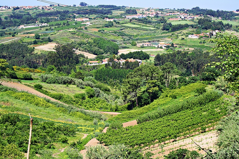 Patio do Vale patiodovale