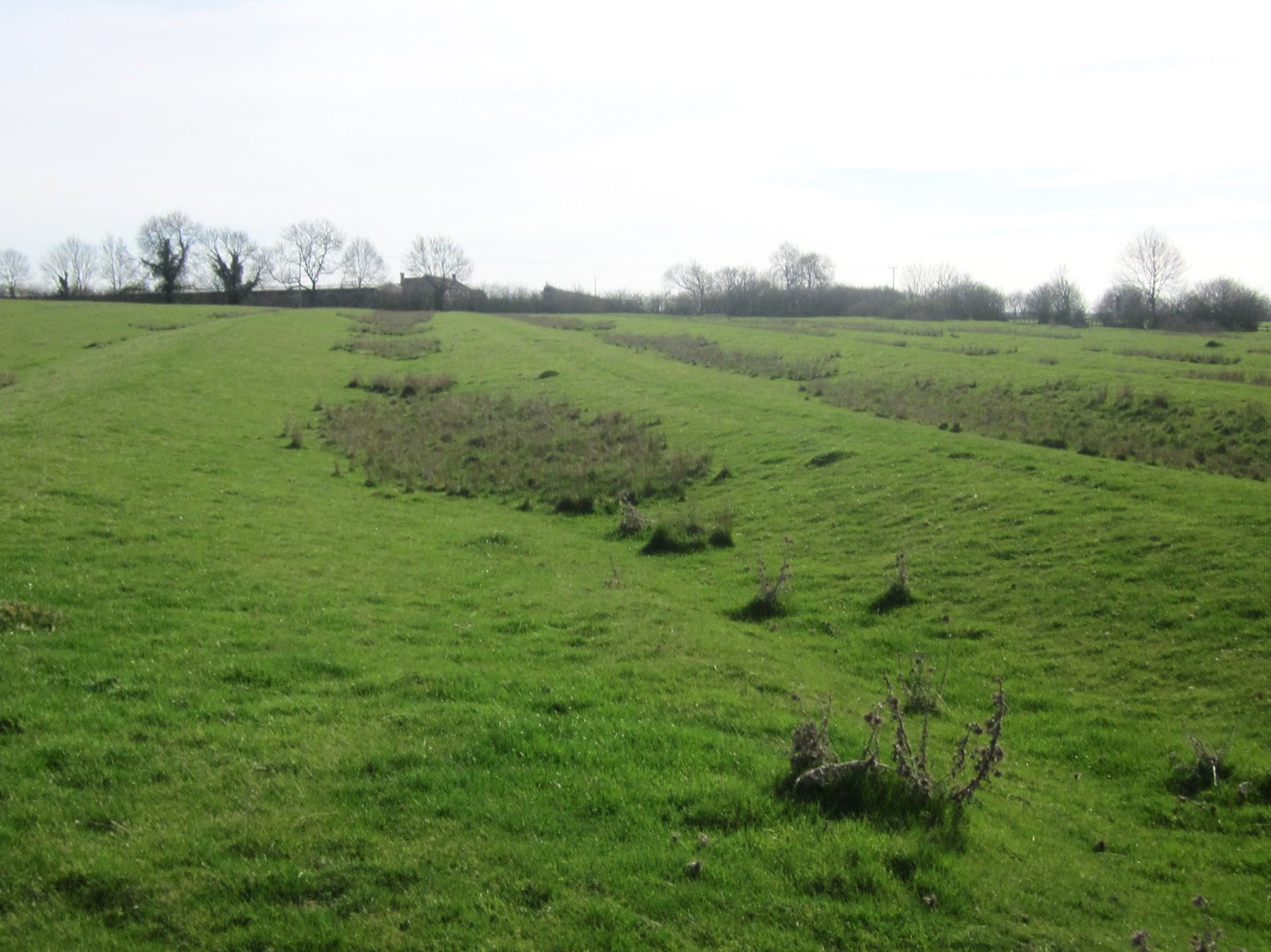 Parent's Guide to Pets A Walk Through Peatling Magna (nothing to do