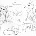 26+ Animal Jam Fox Drawing Pictures