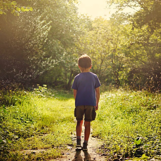 The boy in the woods. The boy in the woods. Hermes trismeg boys swiss. The boy in the woods. древесный ребёнок.