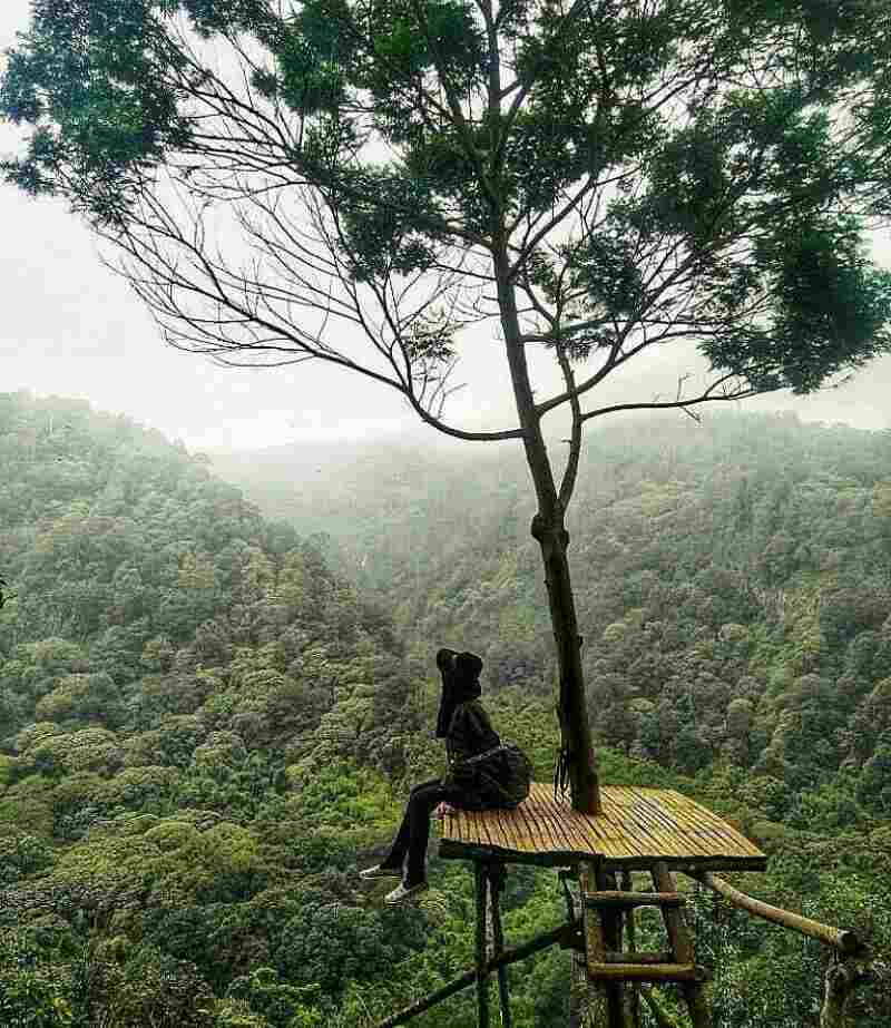 Tempat Wisata Di Mojokerto Terbaru Tempat Wisata Indonesia