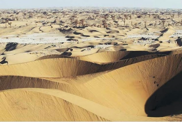 Alternativas para Cuidar el Medio Ambiente: LOS GRANDES DESIERTOS DE ASIA