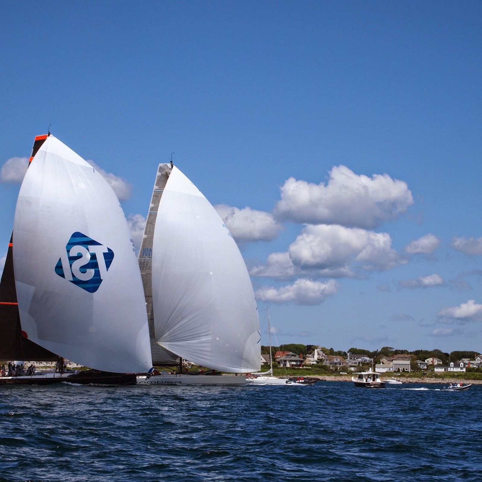 sailboat race from newport to bermuda