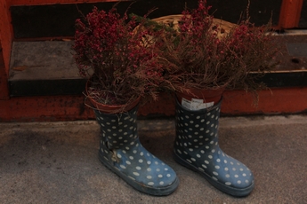 Día 8: Tallin. - Navidades en el Báltico (28)