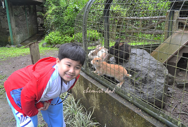 Tagaytay Highlands,Highlands China Palace, Animal Farm