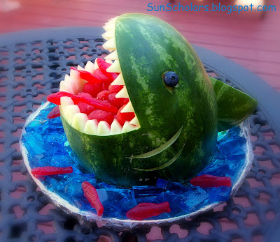 Watermelon Shark @ Sun Scholars