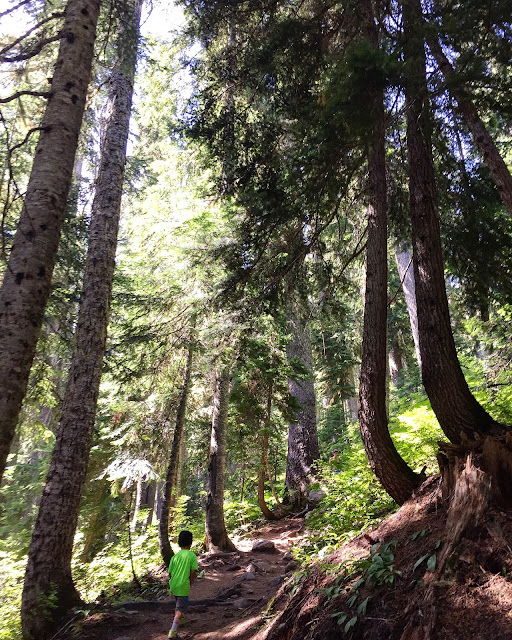 Hiking Lake Valhalla and Mt. McCausland