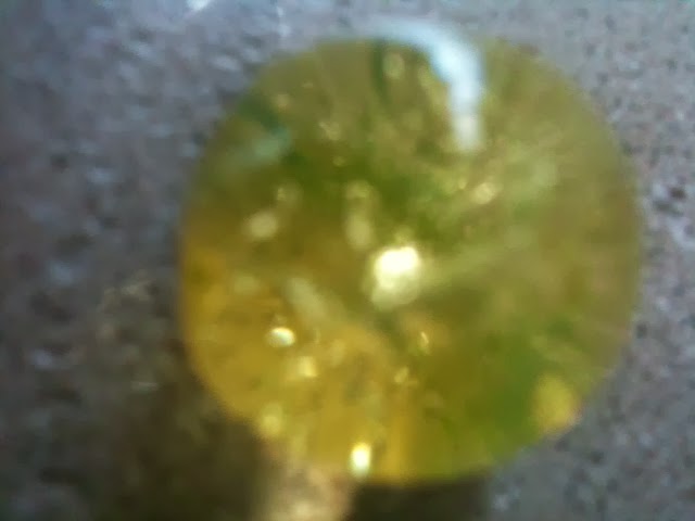 Chenxi's awesome world: A Science Orbeez Experiment