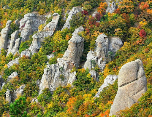 Каменные грибы Долины Сотеры Крым