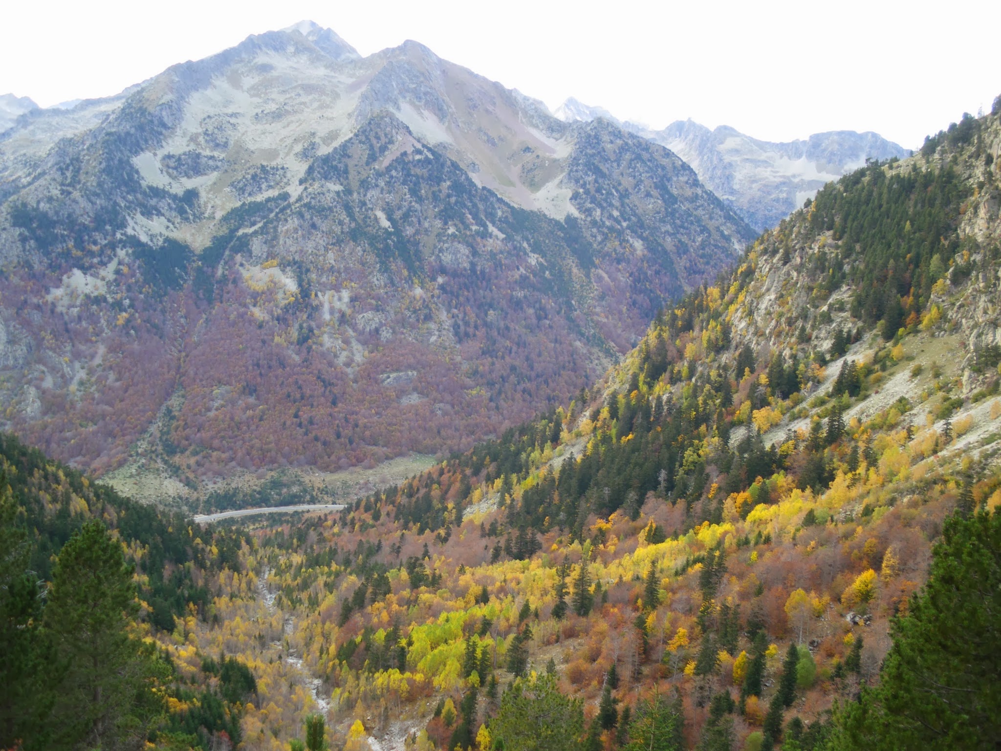 Vall de Besiberri a la tardor Alta Ribagorça Pirineu de Lleida