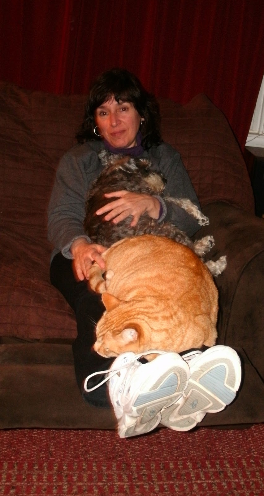 The Very Best Cats Covered in Fur