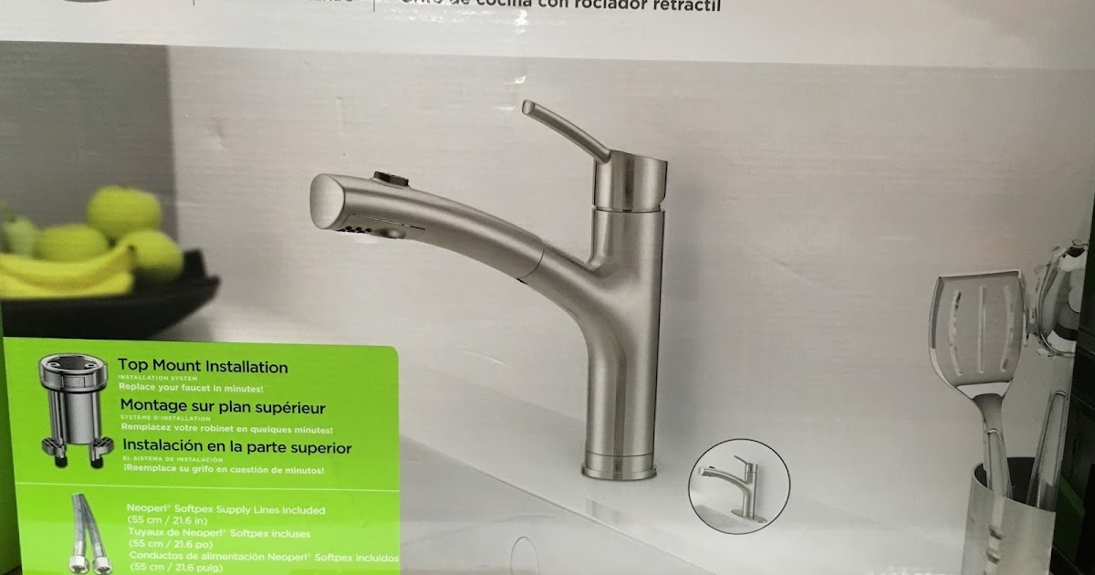 WaterRidge Euro Style Pullout Kitchen Faucet Costco Weekender