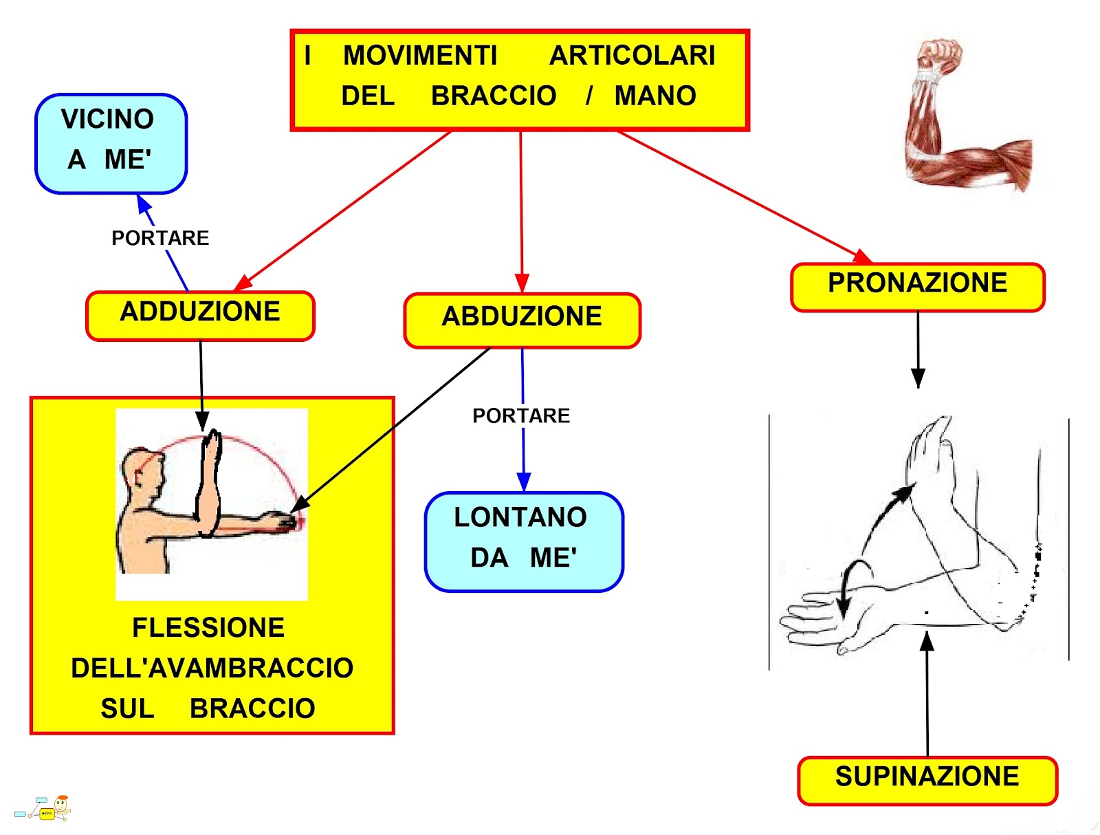 MAPPER MOVIMENTI ARTICOLARI ARTI SUPERIORI MAPPER MOVIMENTI ARTICOLARI ARTI SUPERIORI