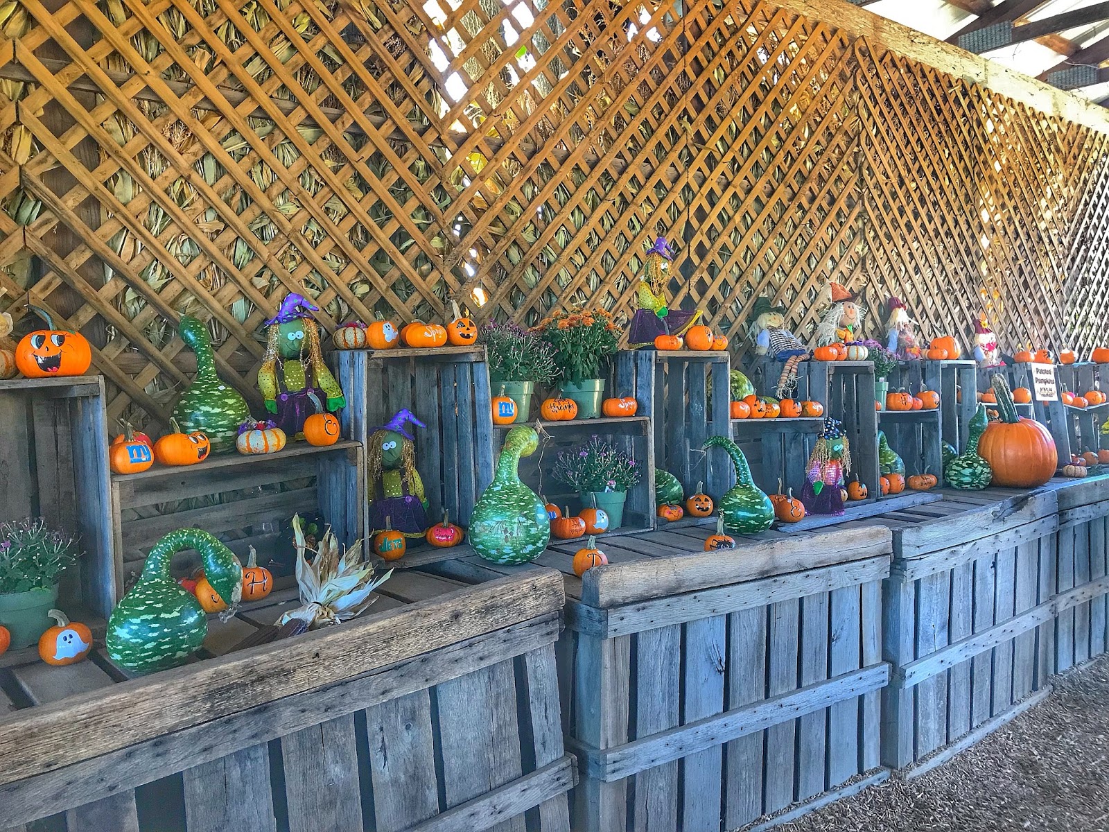 Conklin Farms // New Jersey Wanderlust Beauty Dreams