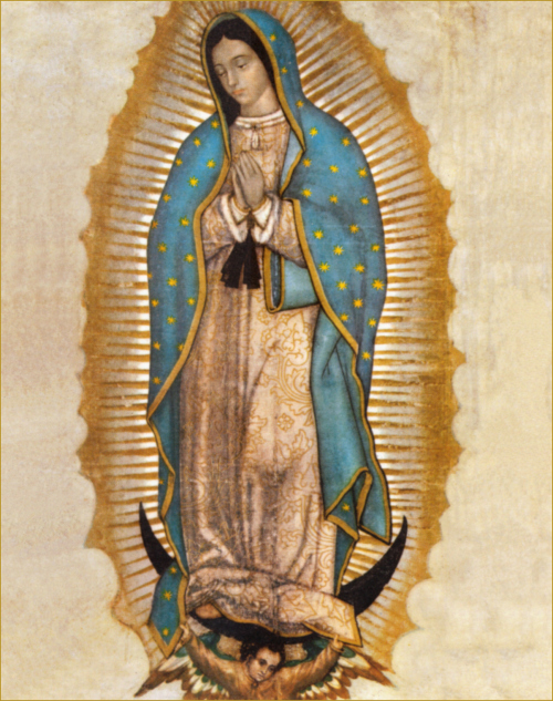 Our Lady of Guadalupe, Empress of the Americas