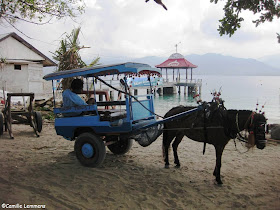 Gili Air, Indonesia horse cart