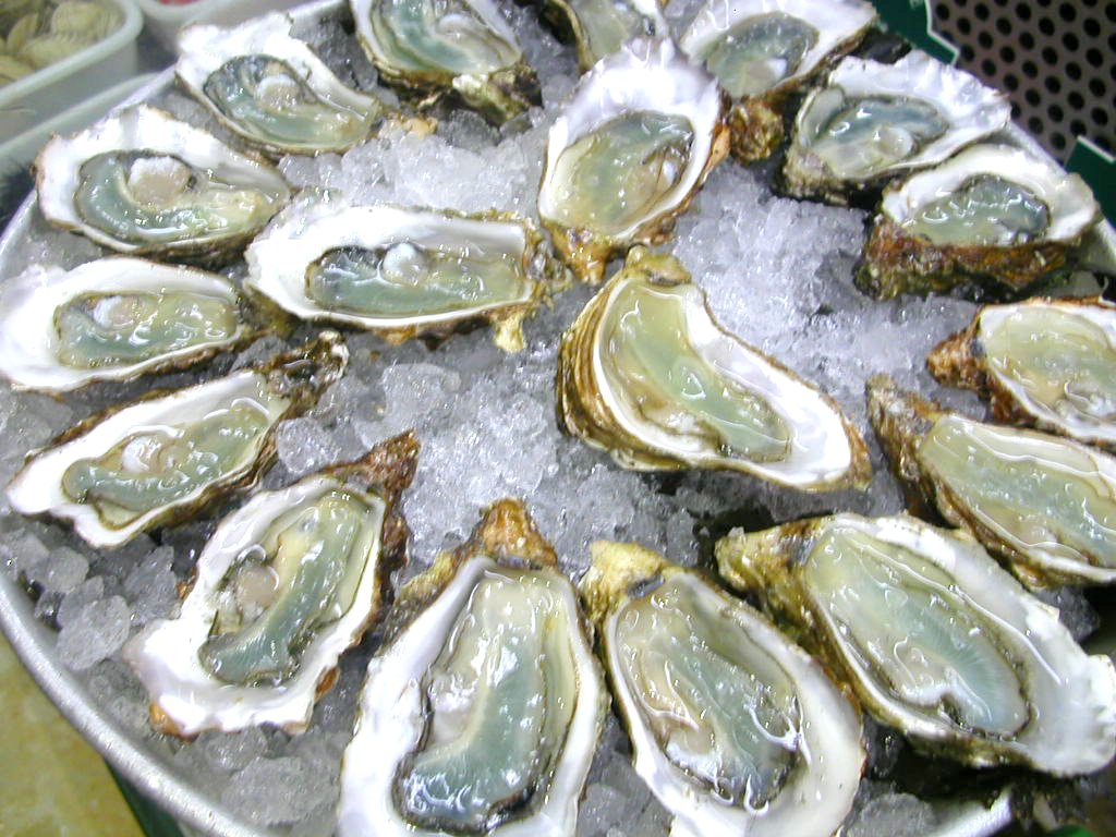 Progressive Charlestown Grow and Eat Your Own Oysters Classes start