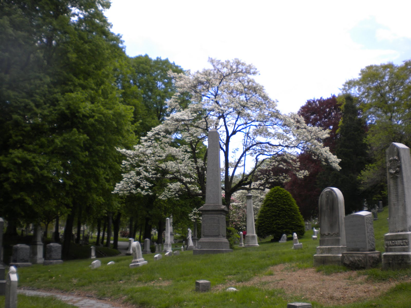 SalonAnthro NYC History Greenwood Cemetery