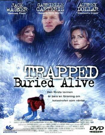 Poster Of Trapped Buried Alive 2002 Dual Audio 300MB DVDRip 480p Free Download Watch Online