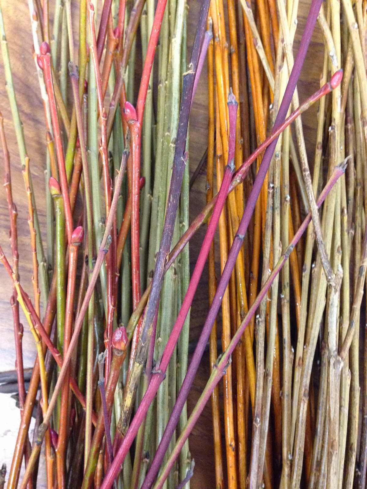 Long May She Rain Willow Weaving Classes