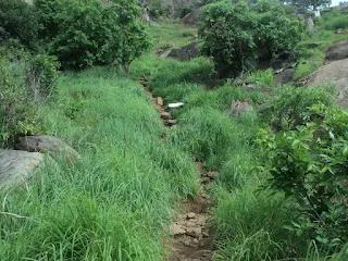 A close-up of the rock face and the climber using three points of contact on the difficult section.