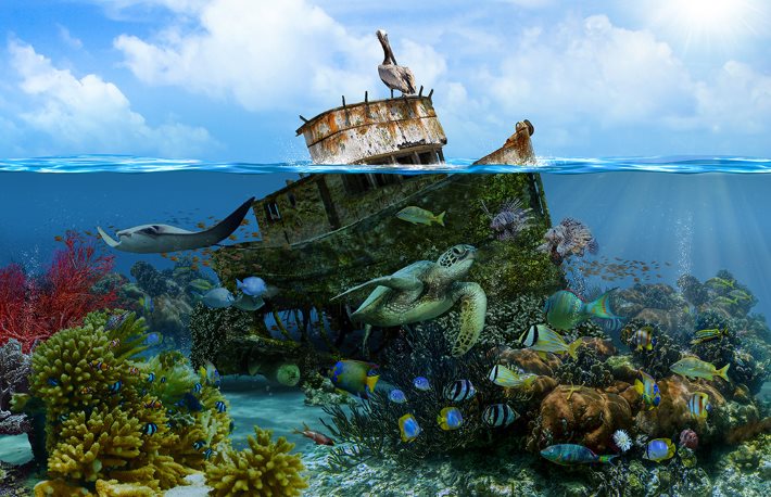 World of Animals