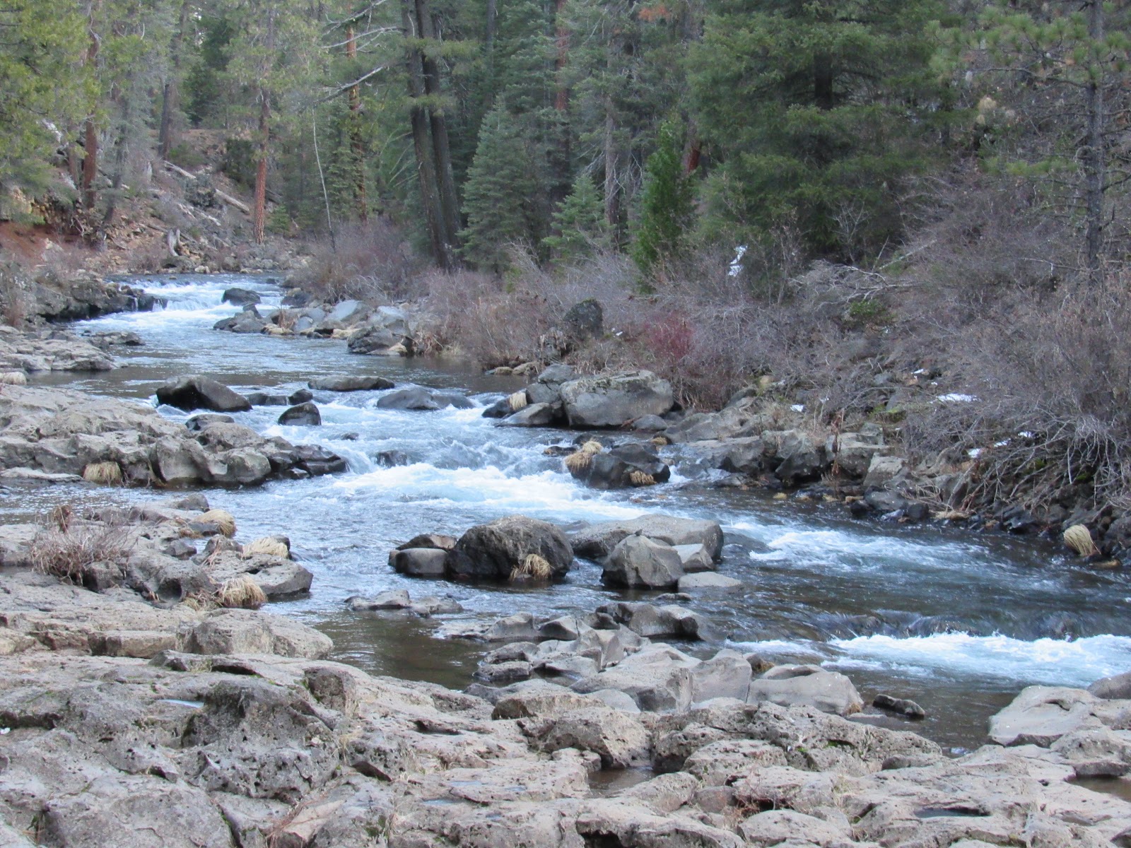 Vaughn the Road Again Fowlers Campground ⛺ McCloud, California