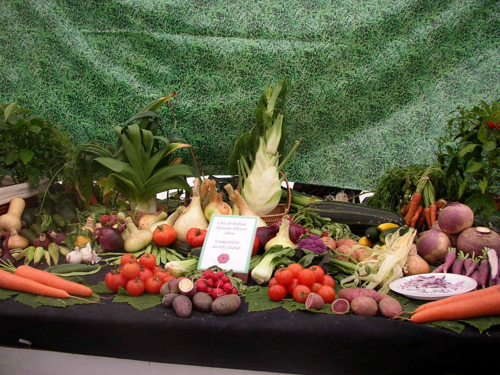 All About Beads Autumn Fair at Botanic Gardens, Belfast