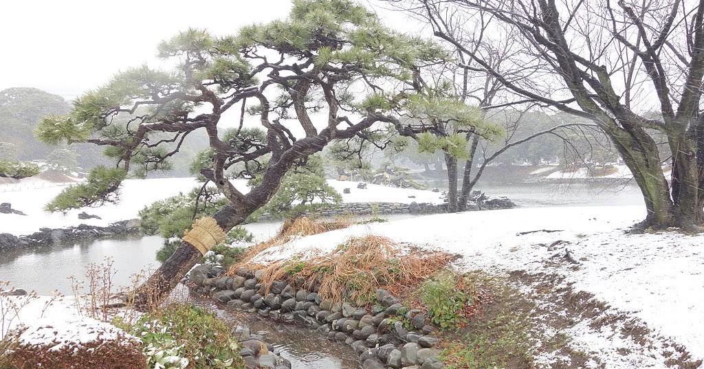 Jardines Que Me Gustan El jardín de invierno