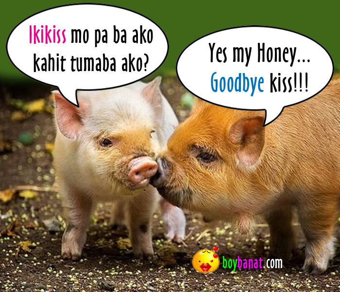 Tagalog Memes Pambara