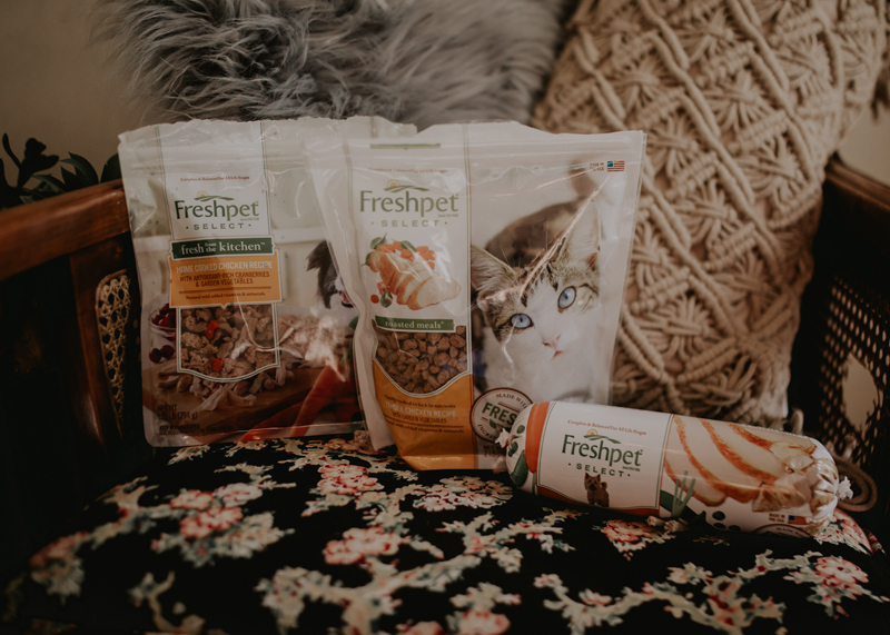 Refrigerated Cat Food Brands Like Fresh Pet Refrigerated Cat Food Brands Like Fresh Pet