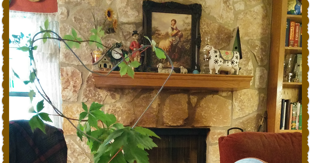 A Slice of Texas blog GROWING VIRGINIA CREEPER for shade and beauty