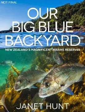 http://www.pageandblackmore.co.nz/products/815892-OurBigBlueBackyardNewZealandsMagnificentMarineReserves-9781775536543