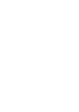 Vintage Elephant Photography