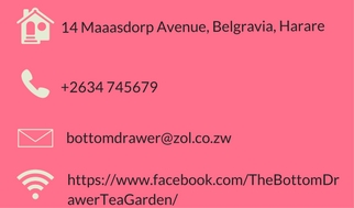 Harare Confidential March 2017