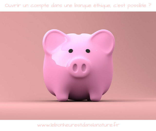 Ouvrir un compte et épargner dans une banque éthique, c'est possible en France et en Belgique ?