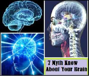 Myths About The Brain: Use, Memory, Fact, Dominance, Know More