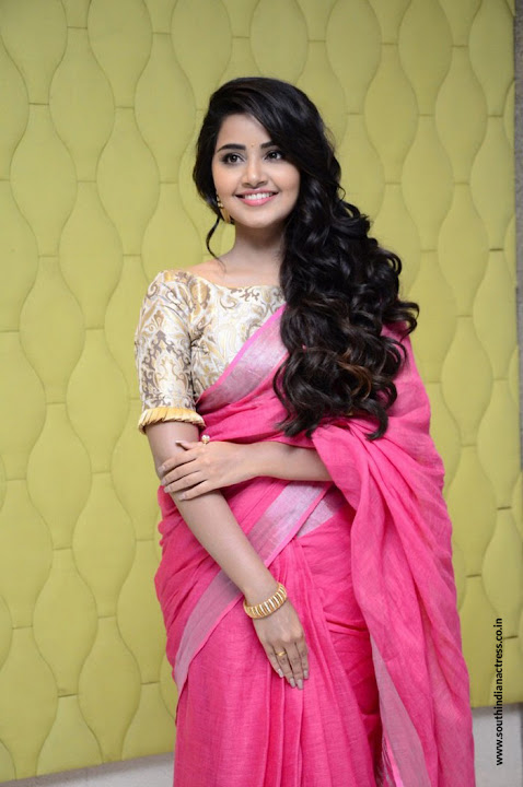 Anupama Parameswaran at Vunnadi Okate Zindagi Movie Thanks Meet