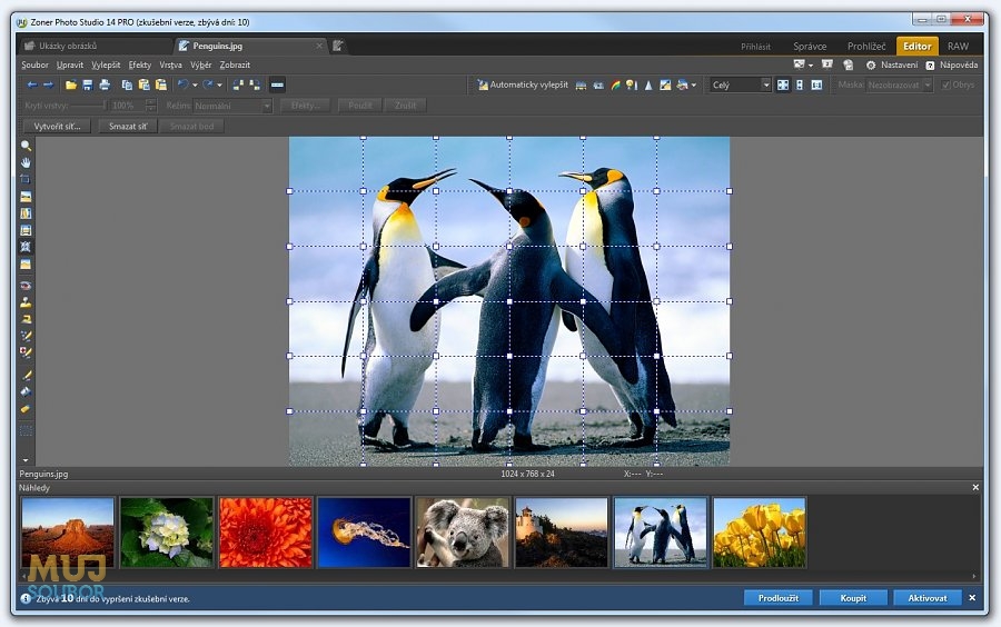 Nadie Especial Zoner Photo Studio Pro 18.0.1.8 portátil