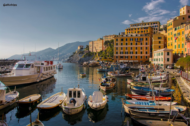 La Toscana - Rinascita - Blogs de Italia - Portofino y la costa de Liguria bien merecen una parada (6)