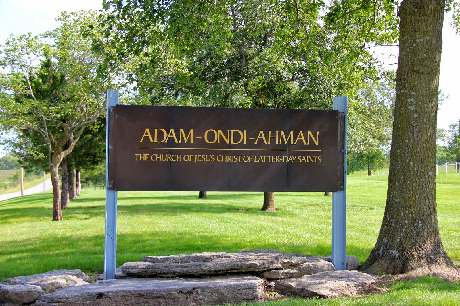 Musings in Mongolia August 2014