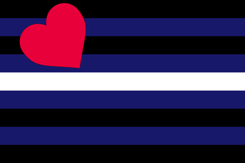 Gay Leather Flag 52